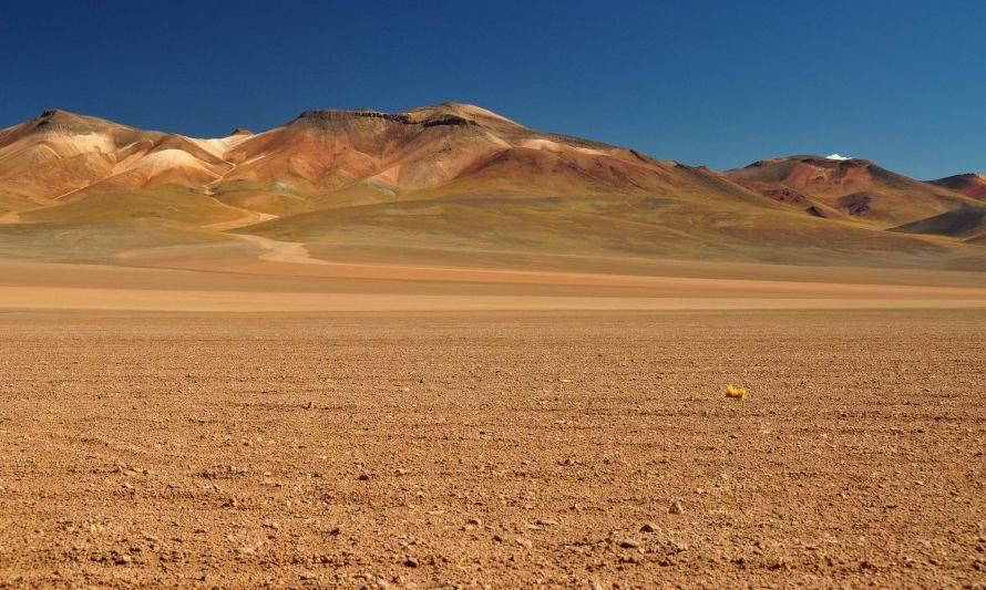 Minería Activa negocia proyecto de tres millones de dólares en Atacama