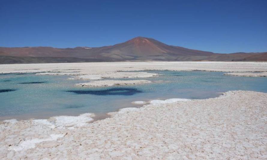 PepinNini Lithium descarta nuevas inversiones en Argentina