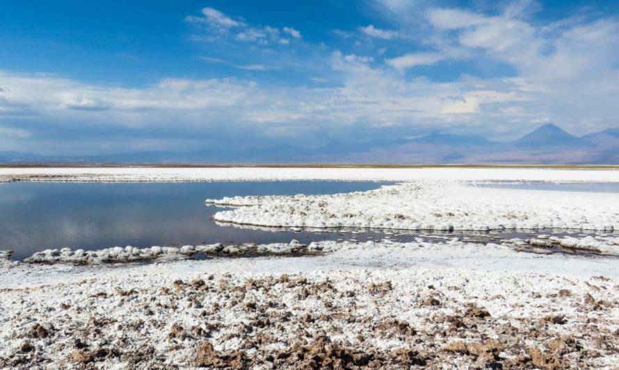 Programa De Muestreo De Laguna Blanca Duplic La Anomal A De Litio