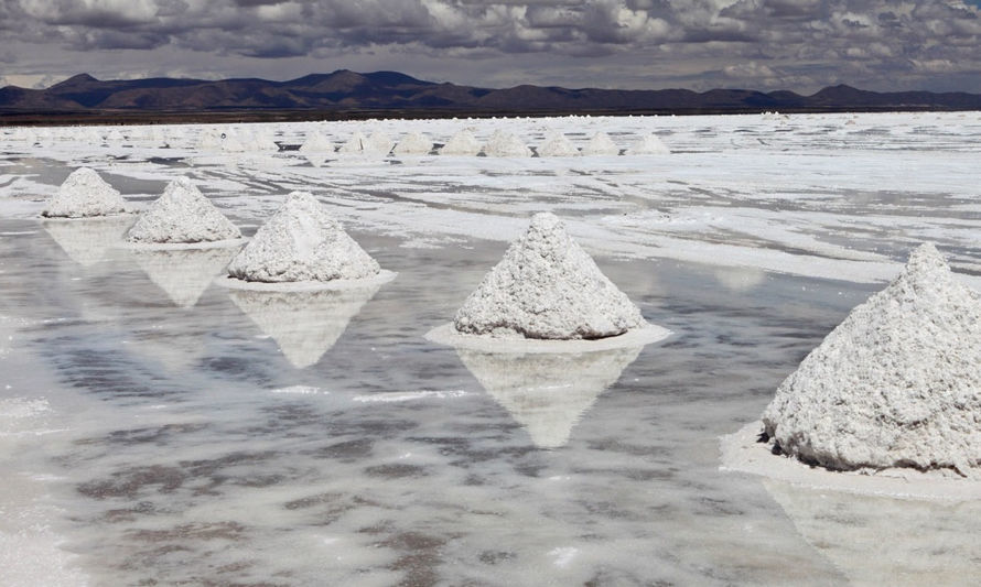 Lithium Americas completa adquisición de Arena Mineral y se queda con el proyecto Sal de la Puna en Salta