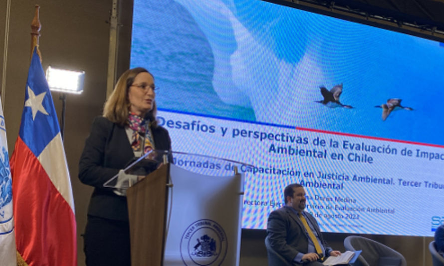 Directora del SEA participa en seminario sobre justicia ambiental en Valdivia