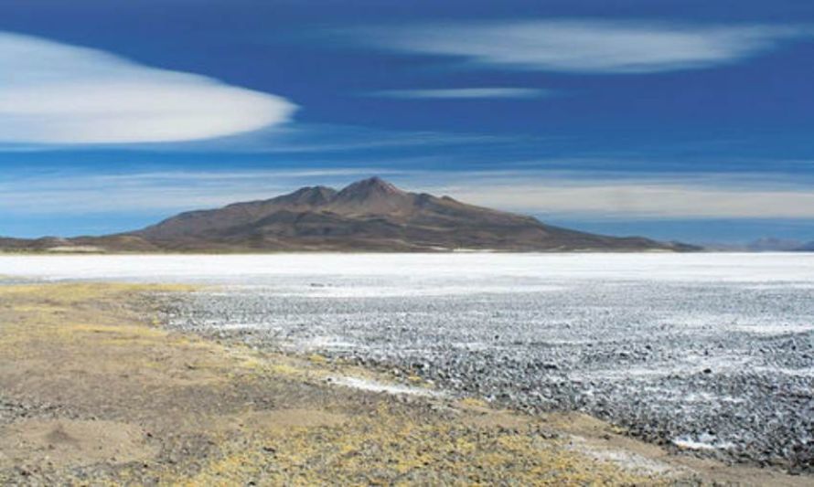 12 proyectos mineros de Argentina cuentan con capitales chinos: 7 son de litio
