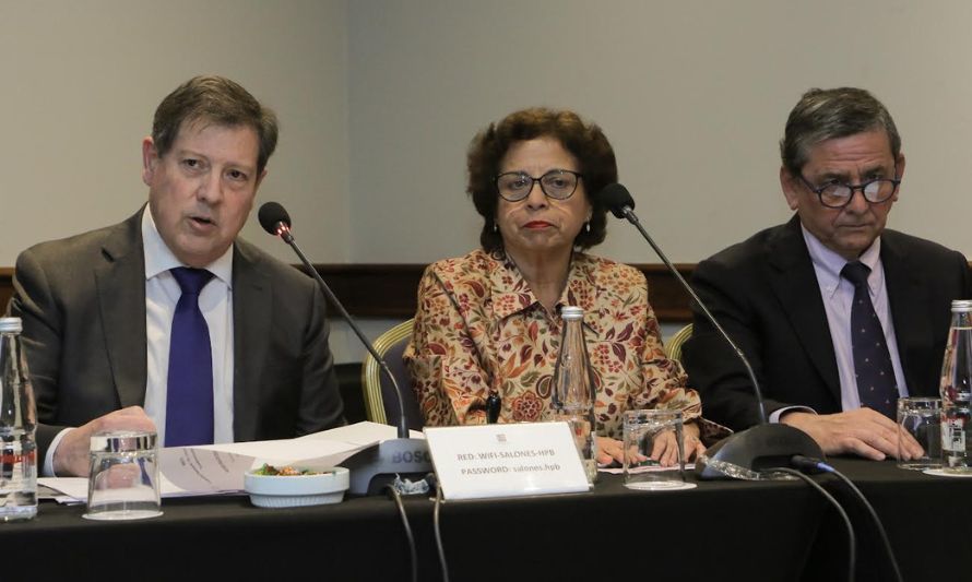 Ministra Williams informó que SEA declaró admisible el proyecto de Enami para reemplazar la Fundación Hernán Videla Lira