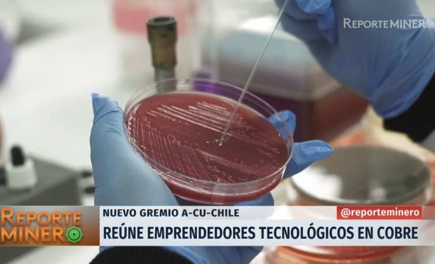 [VIDEO] Nuevo gremio A-Cu-Chile reúne a emprendedores tecnológicos en cobre