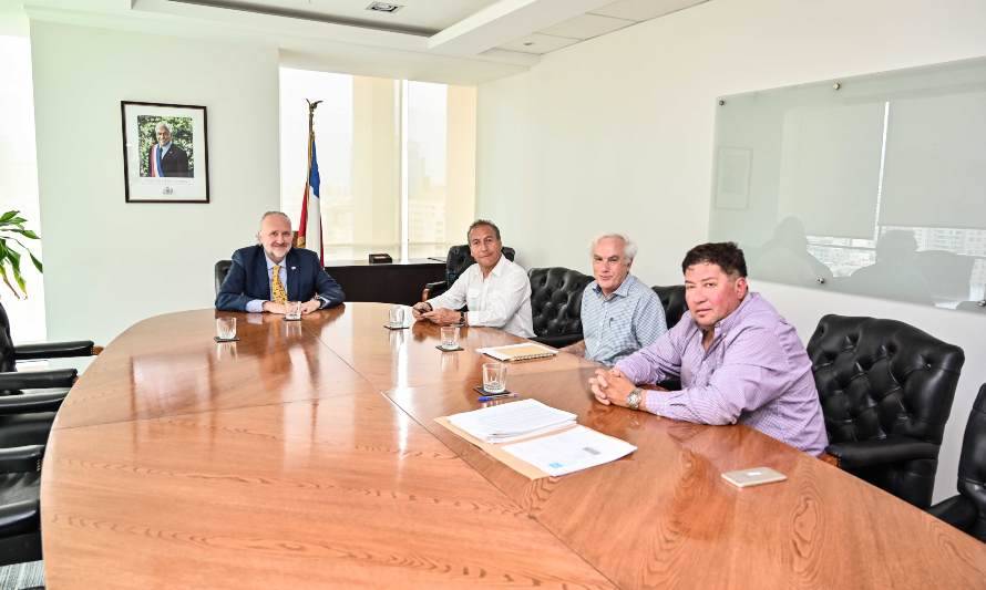 Ministro Prokurica recibió a dirigentes de Vallenar que respaldan proyecto Nueva Unión