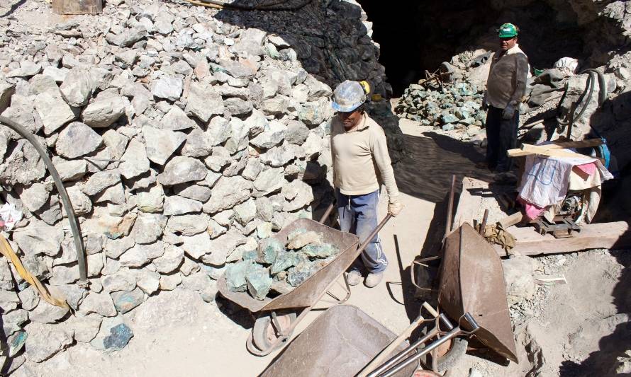 Ministerio de Minería habilita postulación online a fondos PAMMA