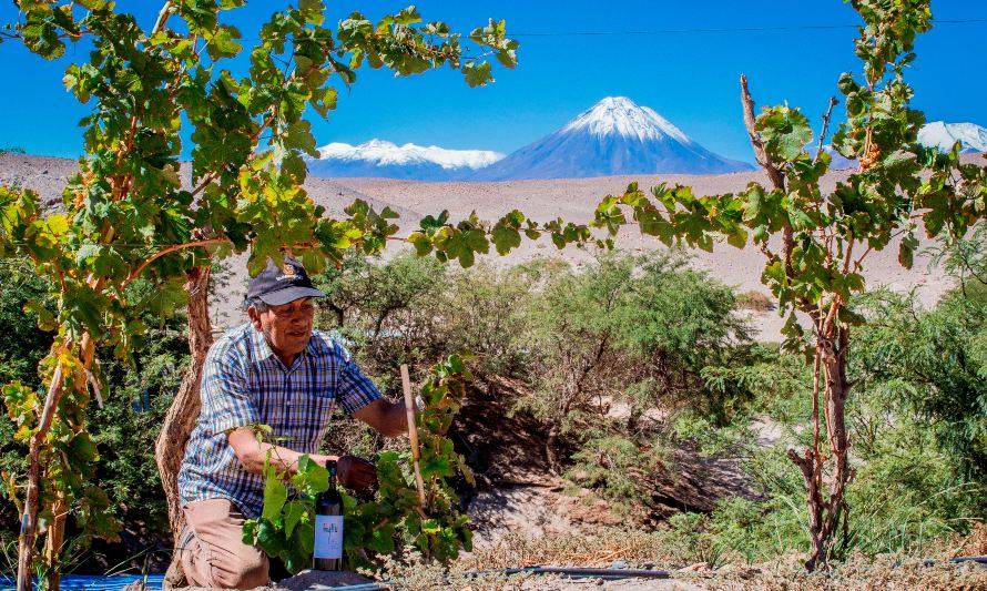 Turismo en el Salar de Atacama: emprendedores iniciaron capacitación para fortalecer su servicio con viajeros 