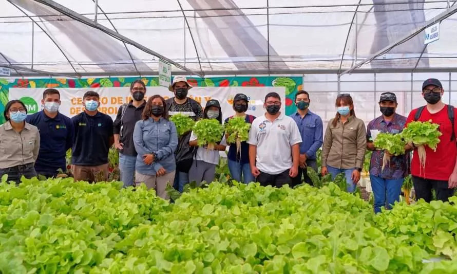 Alumnos de Civil Ambiental de UNAP realizaron asignatura práctica en invernadero experimental de La Tirana
