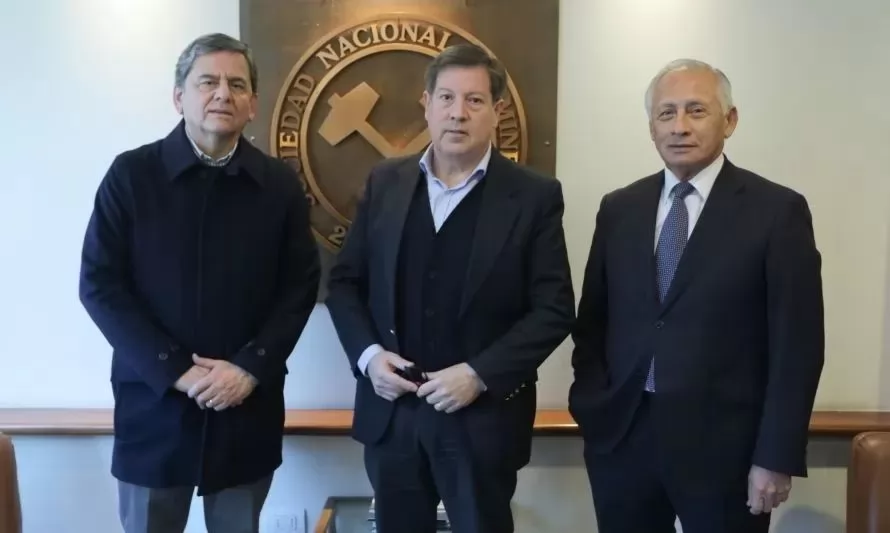 Jorge Riesco es elegido como nuevo presidente de Sonami