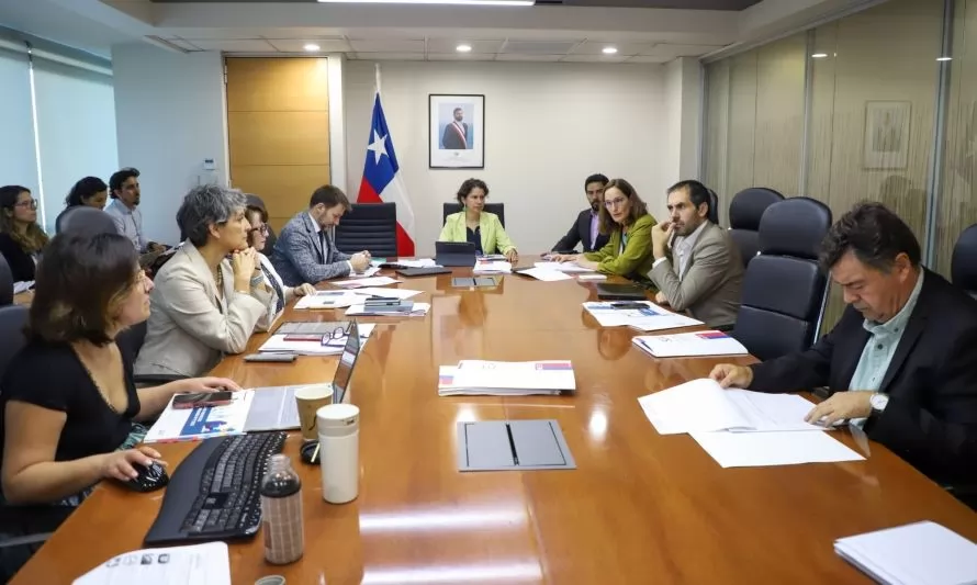 Andes Iron acudirá a tribunal ambiental para revertir decisión de Comité de Ministros