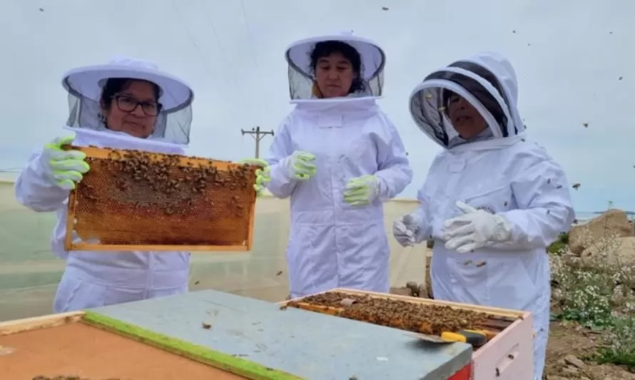 Mujeres lideran proyecto de apicultura en La Higuera
