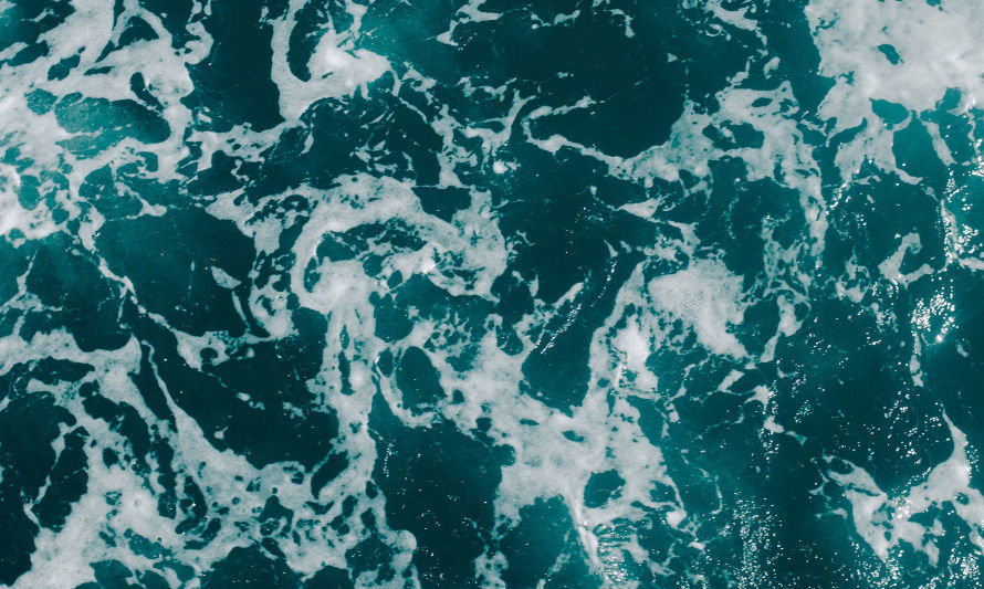 Maricarmen Guerra: “Nuestro océano es como una enorme batería”