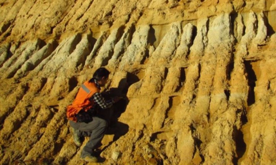 Profesionales del Plan Nacional de Geología  trabajan en la costa de la Región del Maule