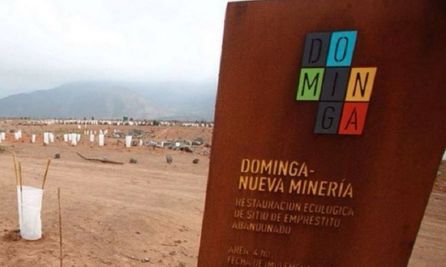 Andes Iron solicitó que resolución de Comité de Ministros por proyecto Dominga sea declarada ilegal