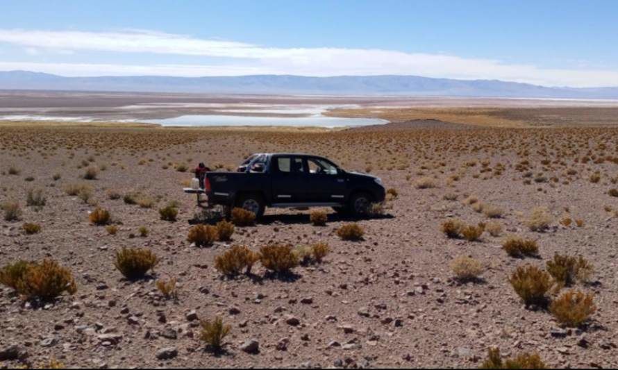 🇦🇷 Argentina: Informan alentadores resultados de perforación en el proyecto de litio Rincón Oeste