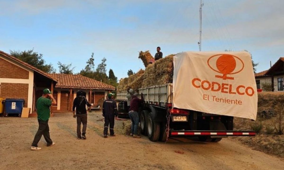 Incendios forestales Chile: Codelco entrega ayuda a diversas organizaciones