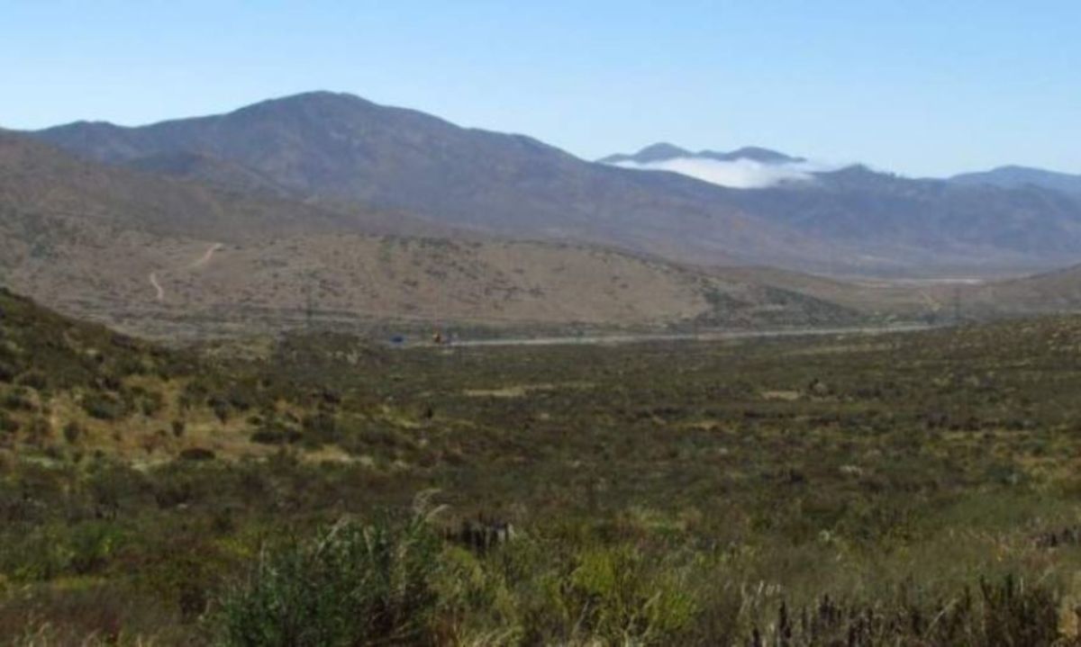 Proyecto de oro-cobre La Higuera extiende en 400 metros su longitud
