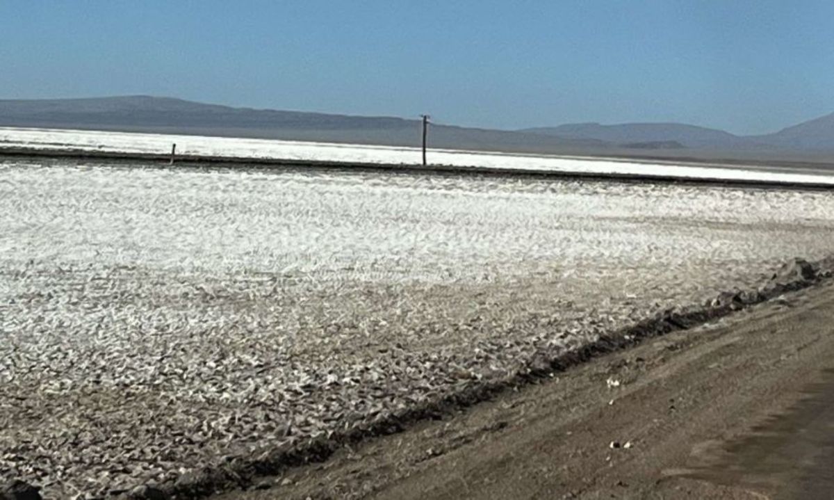 Argentina: Recharge Resources obtiene un mandato de asesoría estratégica para el financiamiento de proyecto de litio