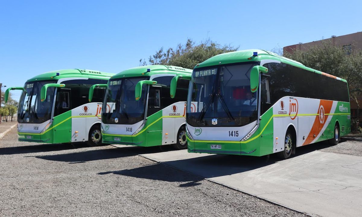 Radomiro Tomic incorpora 65 buses 100% eléctricos y se convierte en la flota más grande del norte