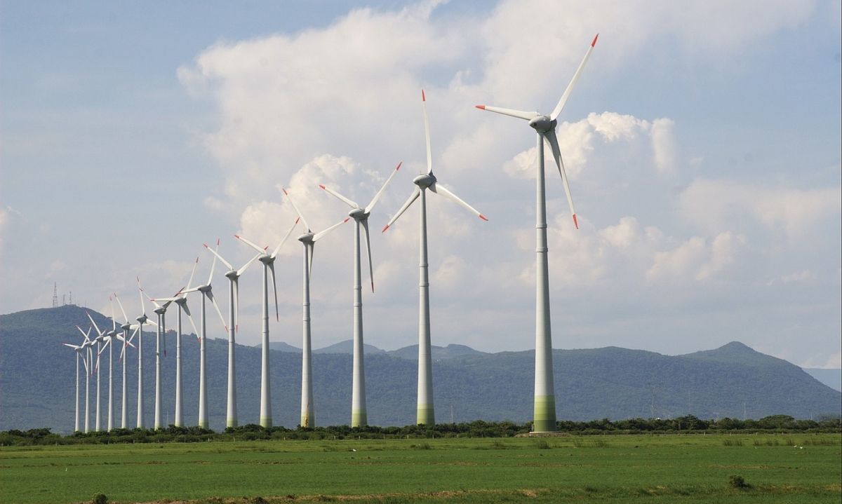 Avances para lograr la carbono neutralidad