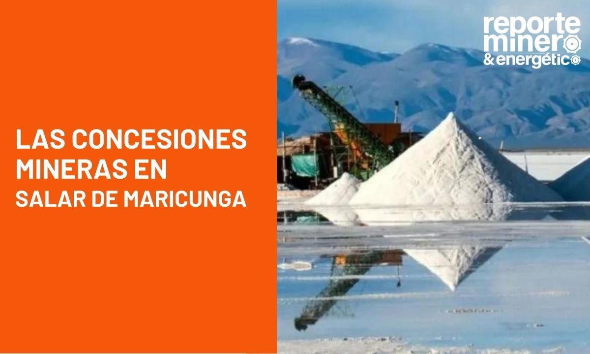 Las concesiones mineras en Salar de Maricunga