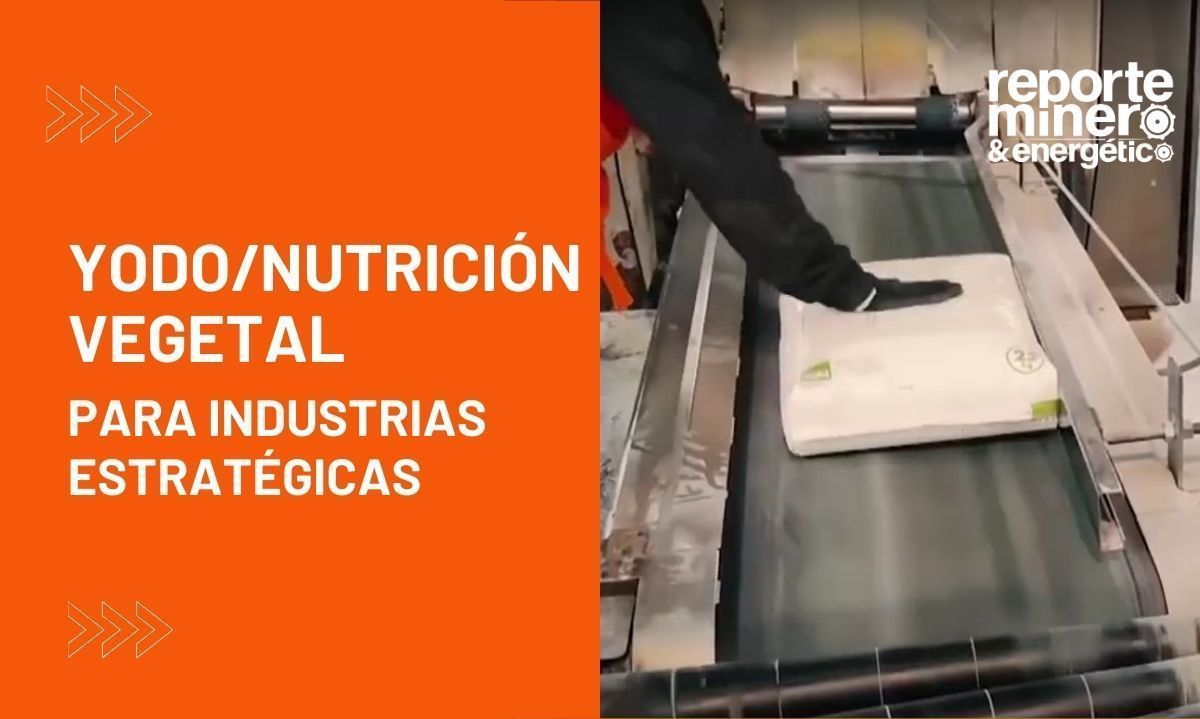 Yodo/nutrición vegetal para industrias estratégicas