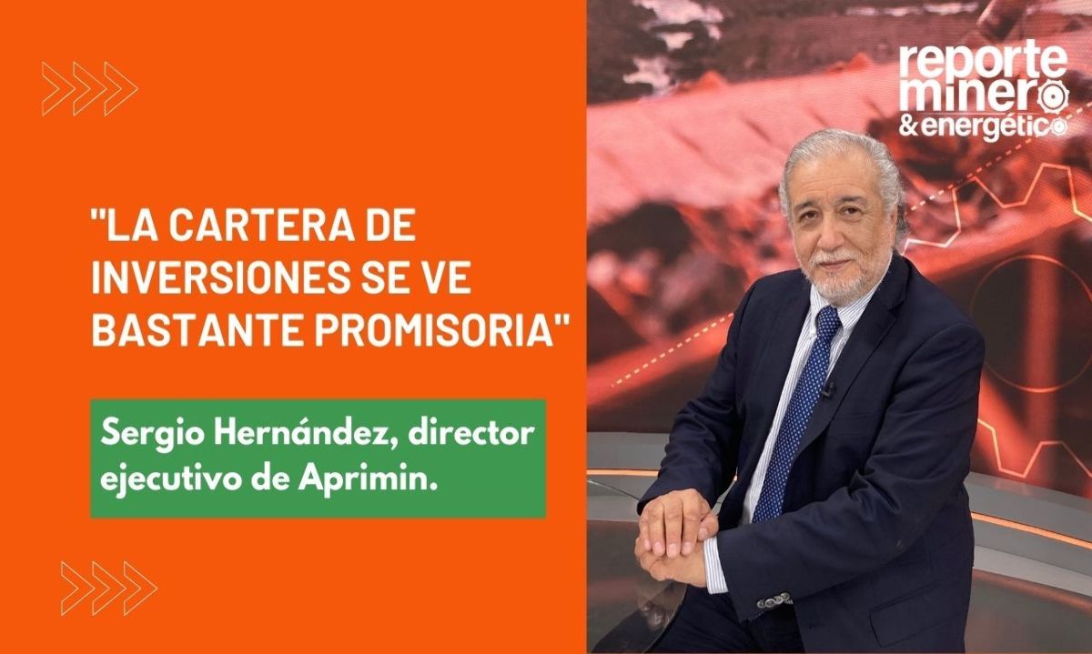 Sergio Hernández, director ejecutivo Aprimin: "La cartera de inversiones se ve bastante promisoria"