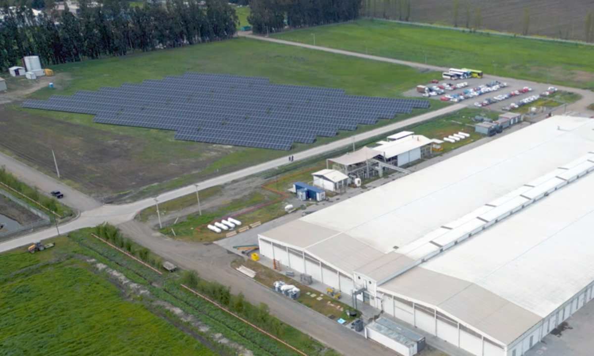 Entra en operación parque solar fotovoltaico de 1,15 MWp en la planta agroalimentaria de Champiñones Abrantes